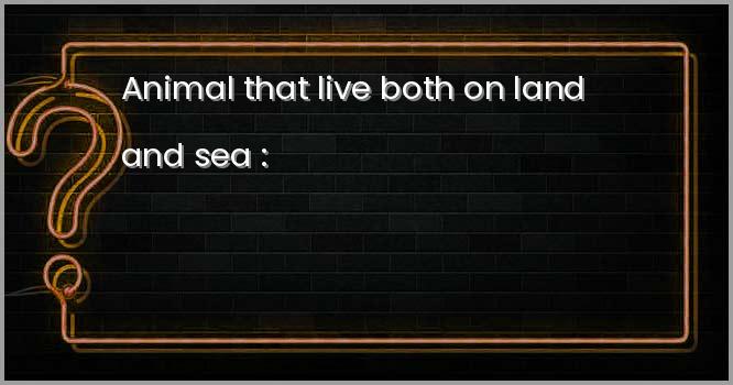 Animal that live both on land and sea :