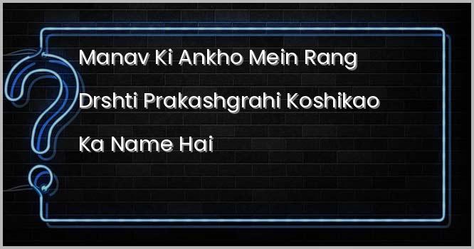 मानव की आंखों में रंग दृष्टि प्रकाशग्राही कोशिकाओं का नाम है