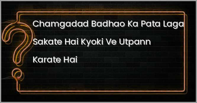 चमगादड़ बाधाओं का पता लगा सकते है, क्योकि वे उत्पन्न करते है?