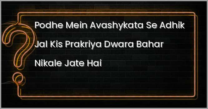 पोधें में आवश्यकता से अधिक जल किस प्रक्रिया द्वारा बाहर निकाले जाते हैं ?