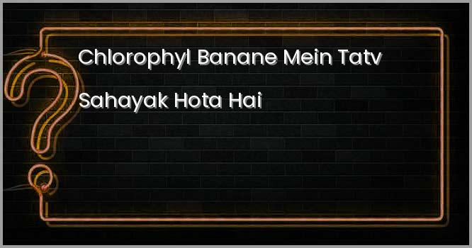 कौन सा तत्त्व पोधो में क्लोरोफिल बनाने में तत्व सहायक होता है ?