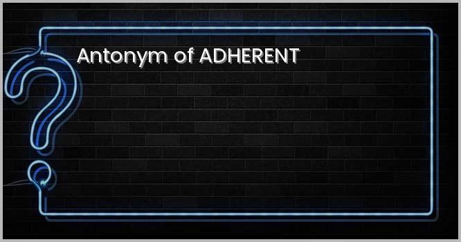 Antonym of ADHERENT